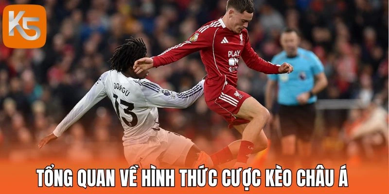 Tổng quan về hình thức cược kèo châu Á